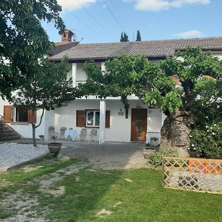 Šmarje Country House Gazon 게스트하우스 외부 사진